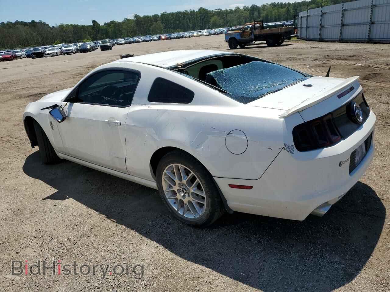 2013 FORD ALL Models - VIN: 1ZVBP8AM7D5253441 - Фото 2