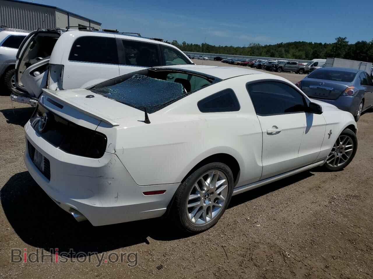 2013 FORD ALL Models - VIN: 1ZVBP8AM7D5253441 - Фото 3