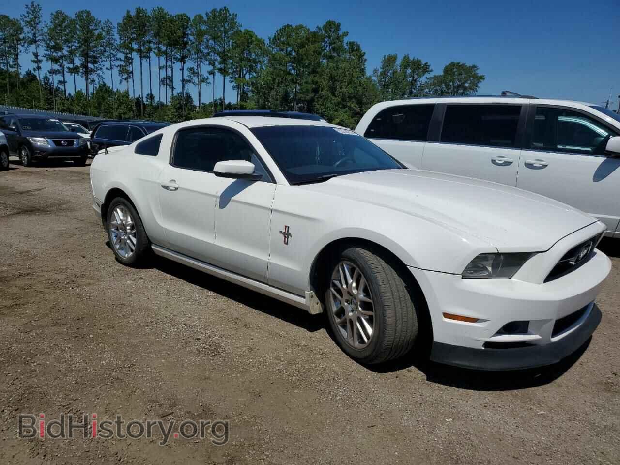 2013 FORD ALL Models - VIN: 1ZVBP8AM7D5253441 - Фото 4