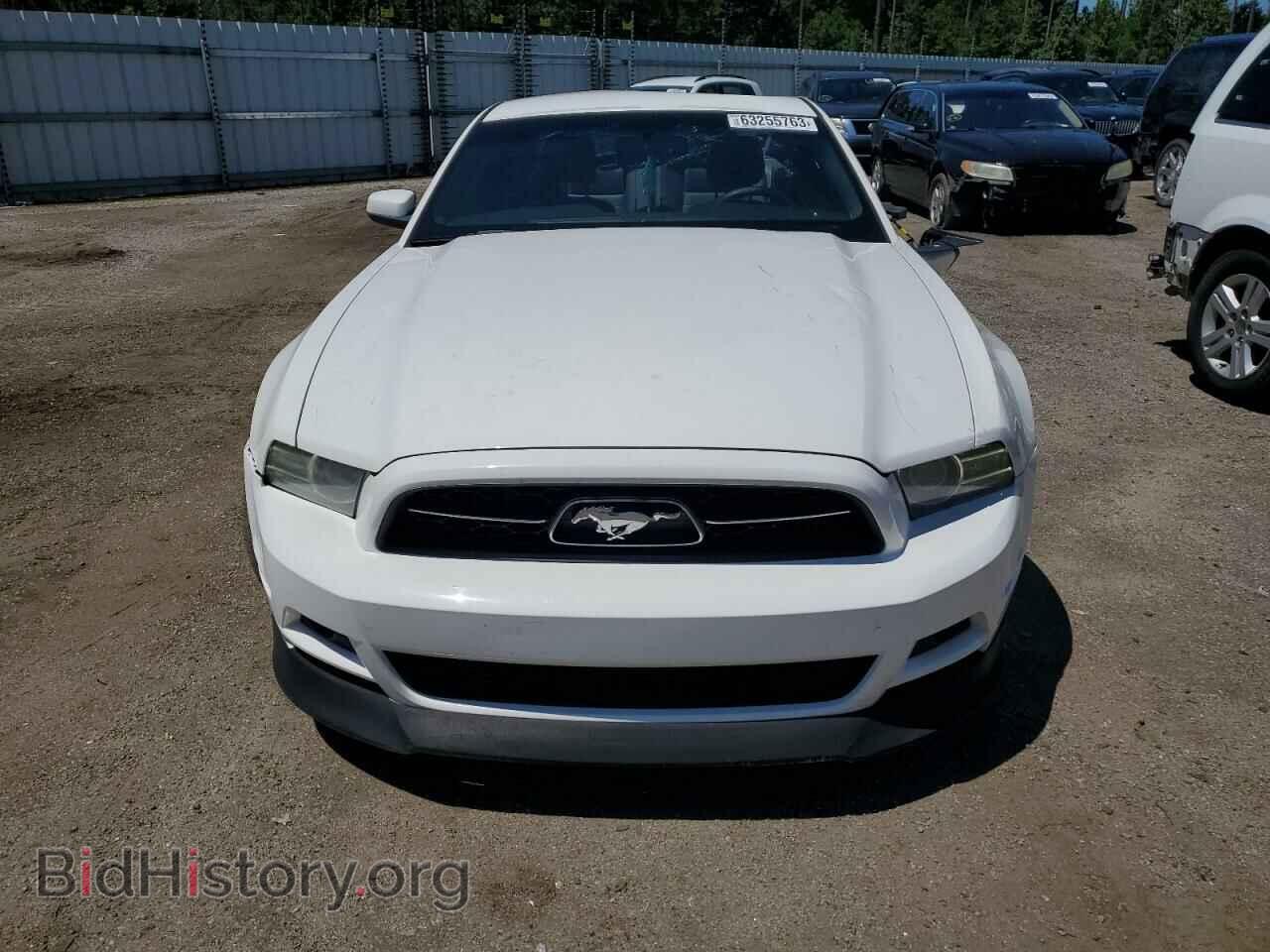 2013 FORD ALL Models - VIN: 1ZVBP8AM7D5253441 - Фото 5
