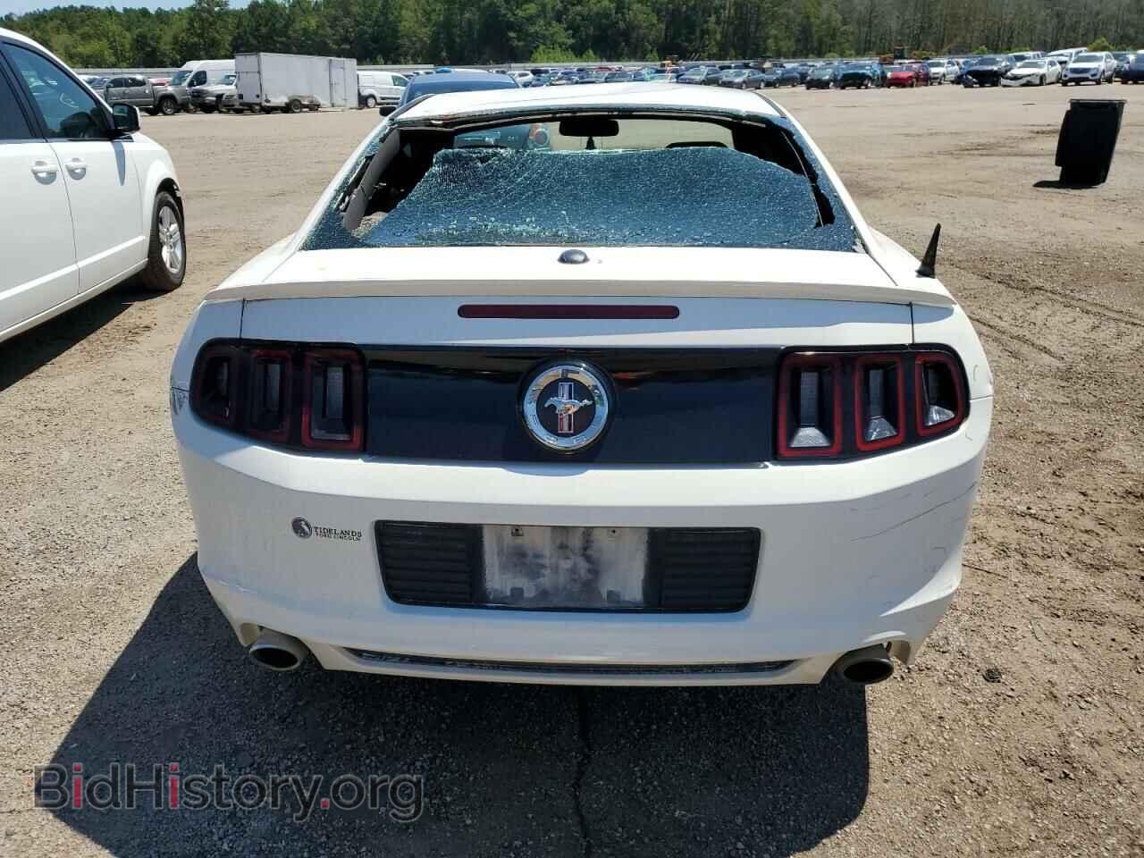 2013 FORD ALL Models - VIN: 1ZVBP8AM7D5253441 - Фото 6