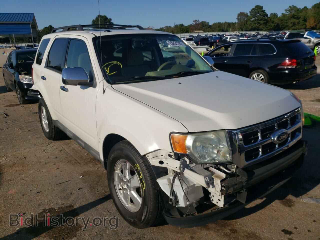 Фотография 1FMCU0DG2AKB54557 - FORD ESCAPE 2010
