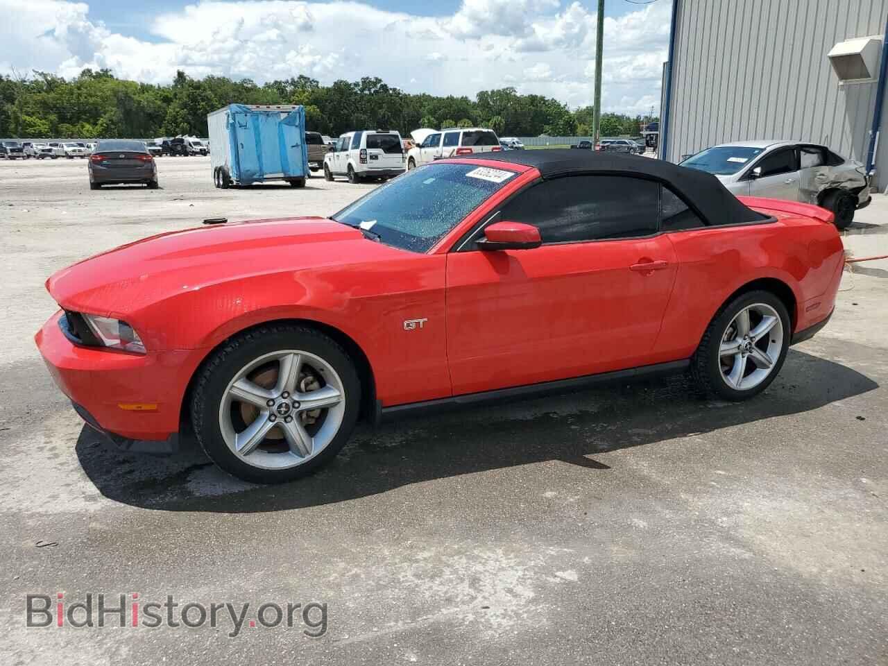 Photo 1ZVBP8FH5A5125139 - FORD MUSTANG 2010