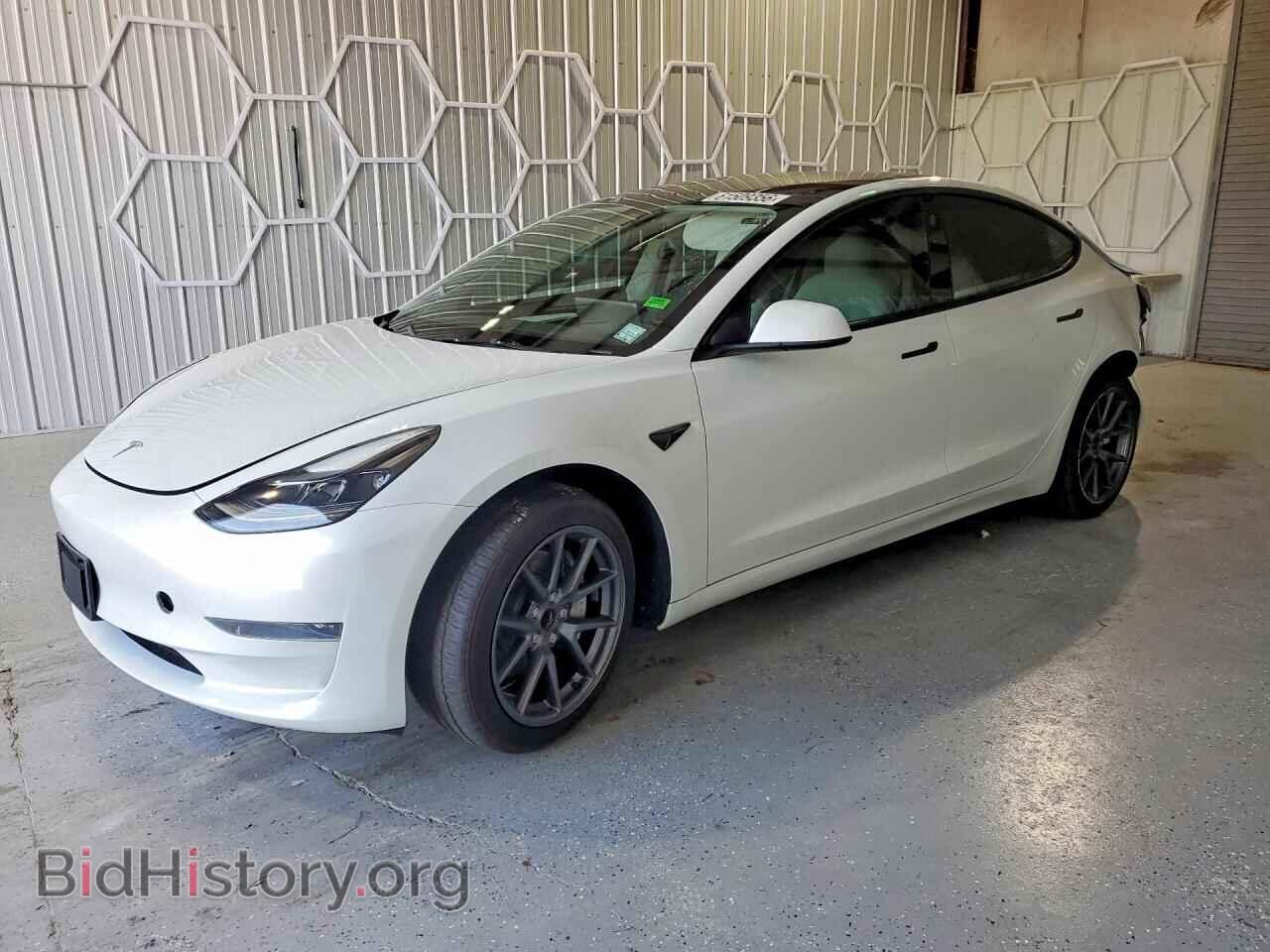 Photo 5YJ3E1EA1PF544198 - TESLA MODEL 3 2023