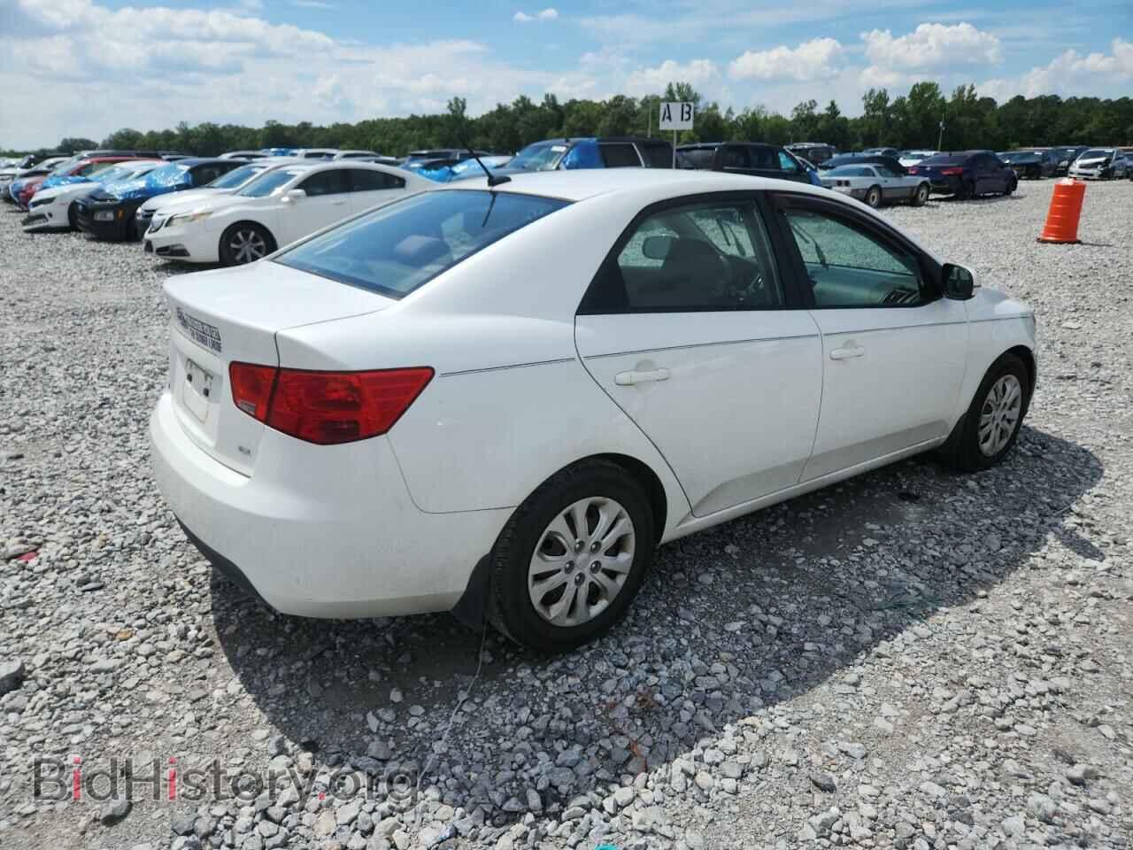 2012 KIA FORTE - VIN: KNAFU4A23C5644134 - Фото 3