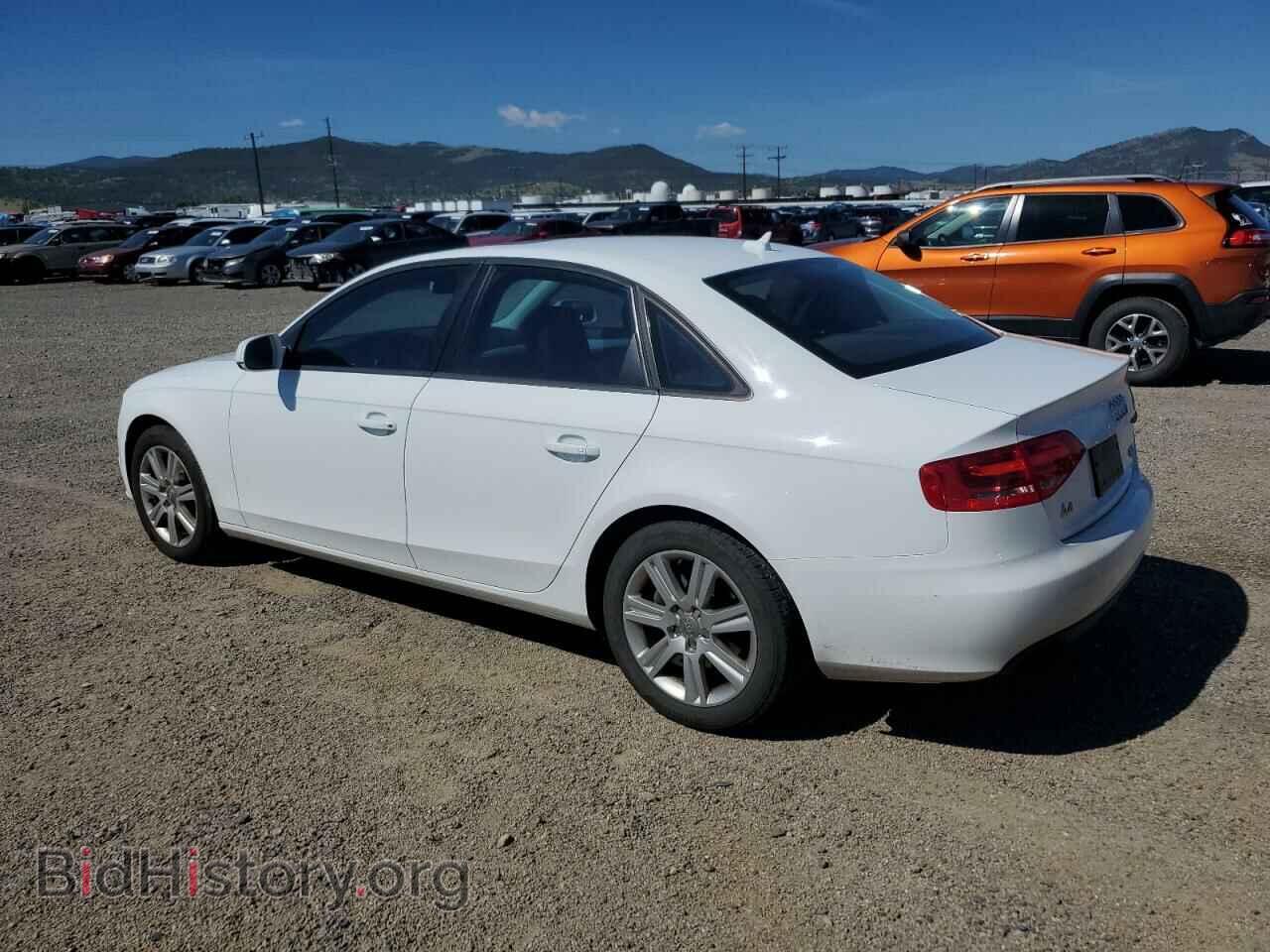2011 AUDI A4 - VIN: WAUBFAFL9BN021950 - Фото 2