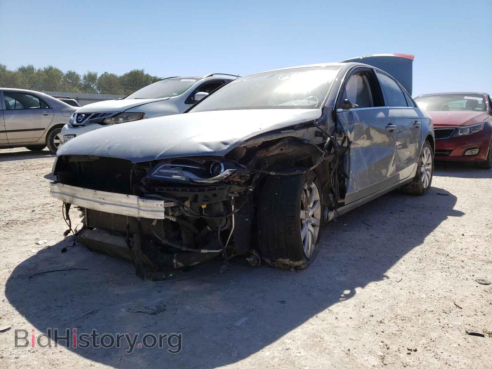 2010 AUDI A4 - VIN: WAUFFAFL5AN021699 - Фото 2