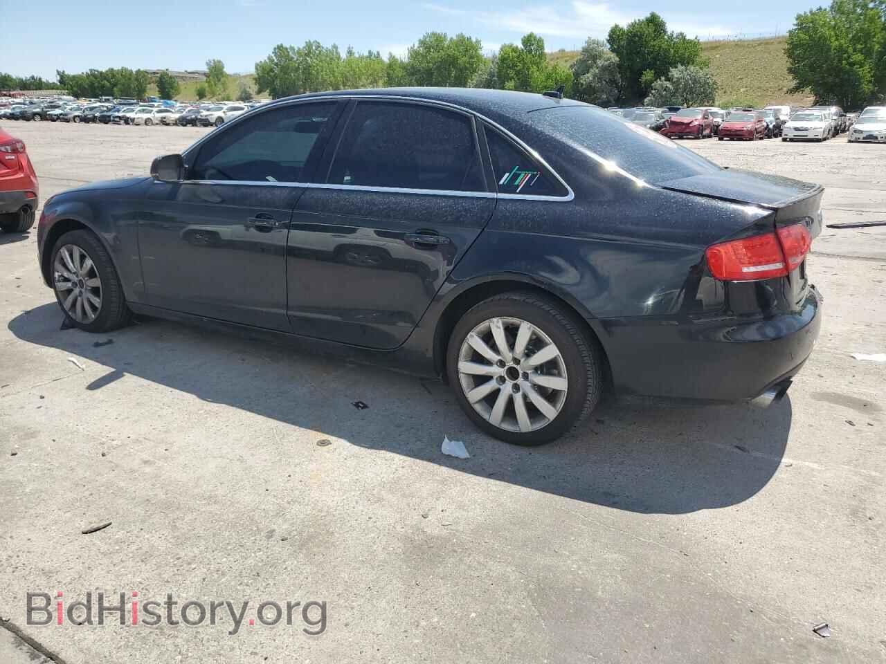 2010 AUDI A4 - VIN: WAUFFAFL7AN031859 - Фото 2