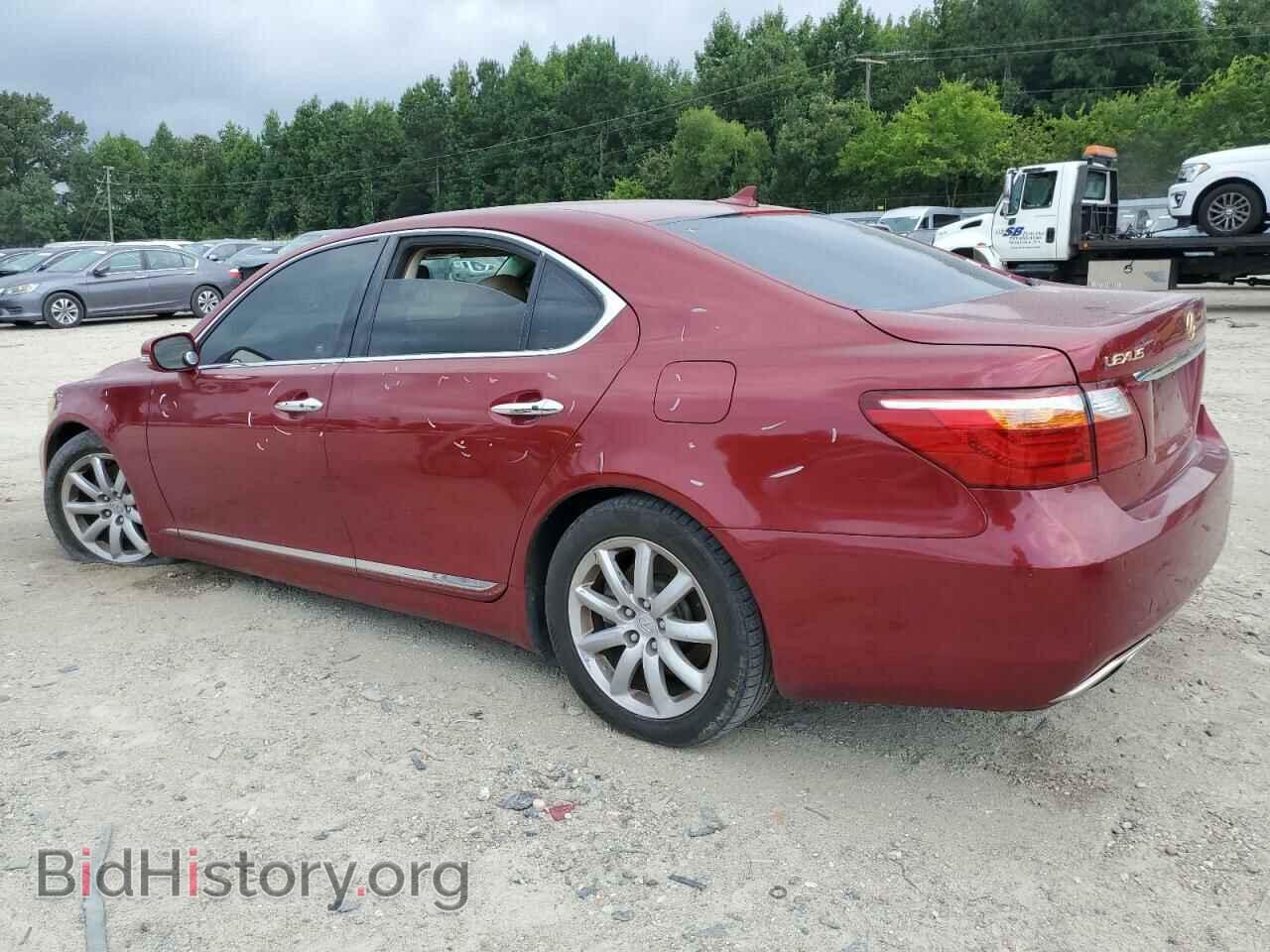 2010 LEXUS LS460 - VIN: JTHCL5EFXA5007541 - Фото 2