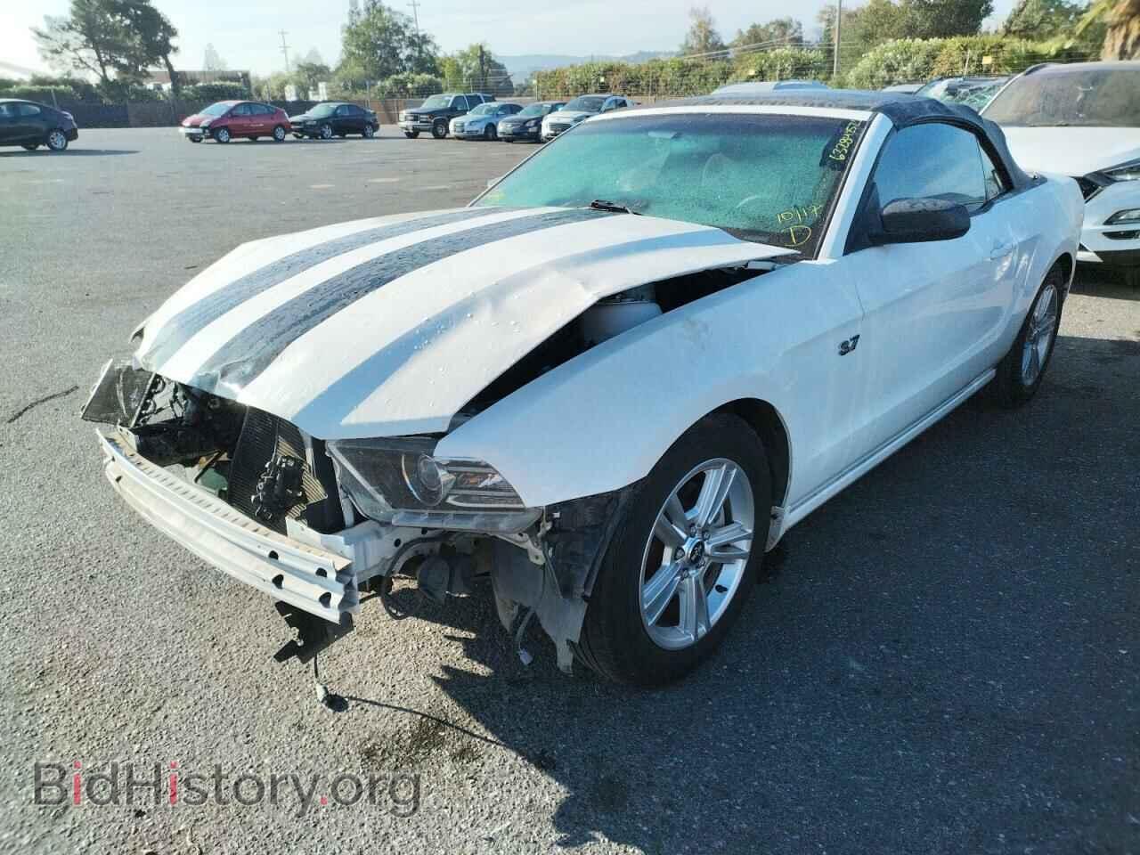 2013 FORD MUSTANG - VIN: 1ZVBP8EM4D5209889 - Фото 2