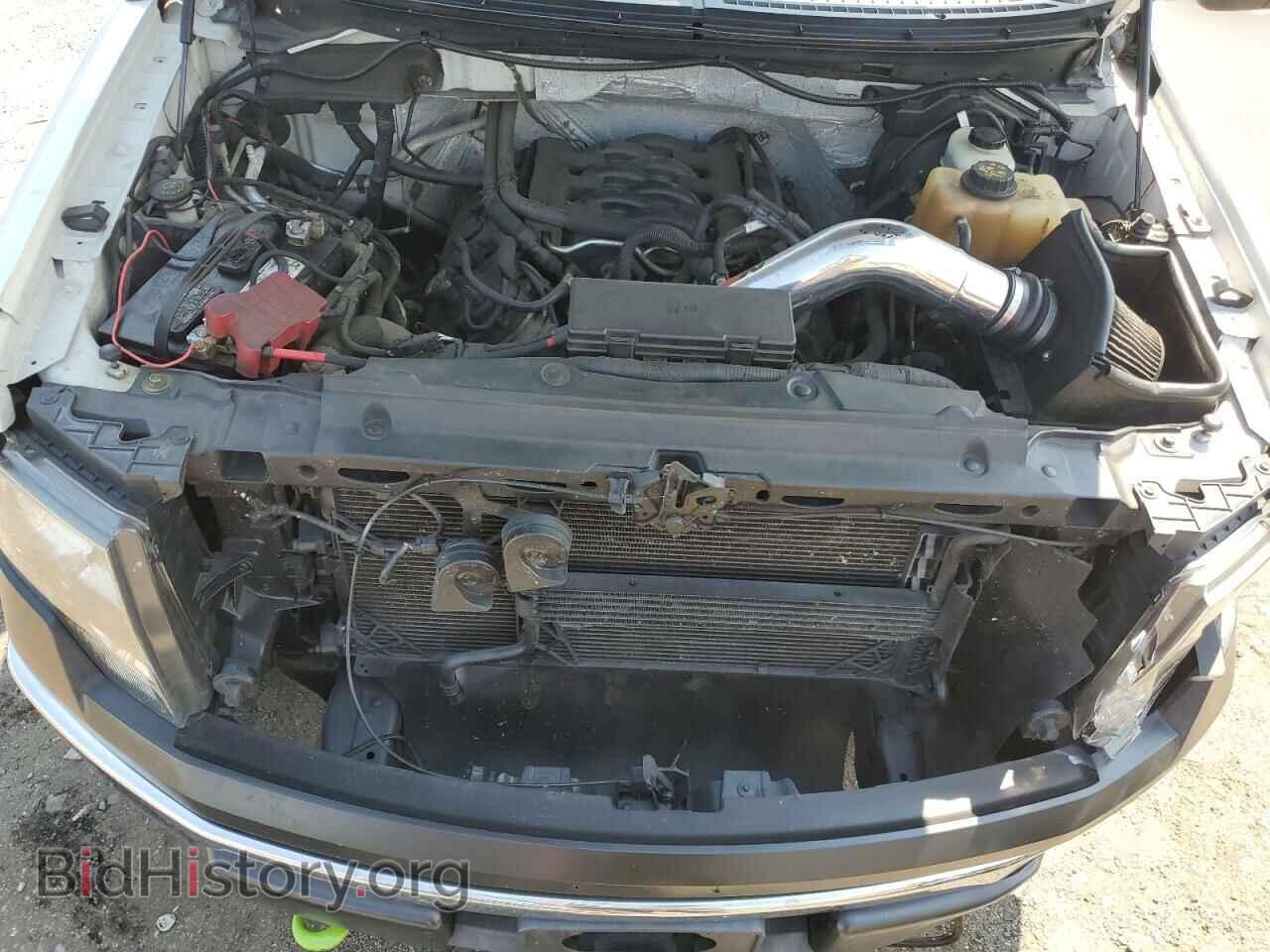 2011 FORD F-150 - VIN: 1FTFX1EF8BFA77353 - Фото 11