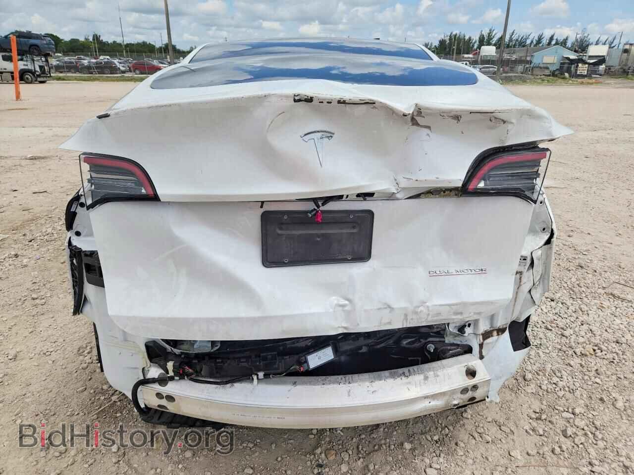 2024 TESLA MODEL Y - VIN: 7SAYGDEF9RF040825 - Photo 6