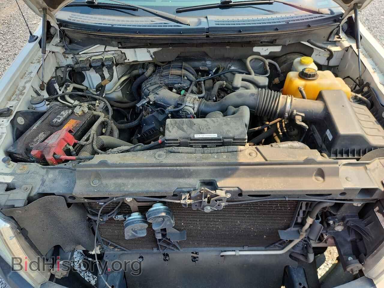 2014 FORD F150 - VIN: 1FTMF1CM4EFA19076 - Photo 11