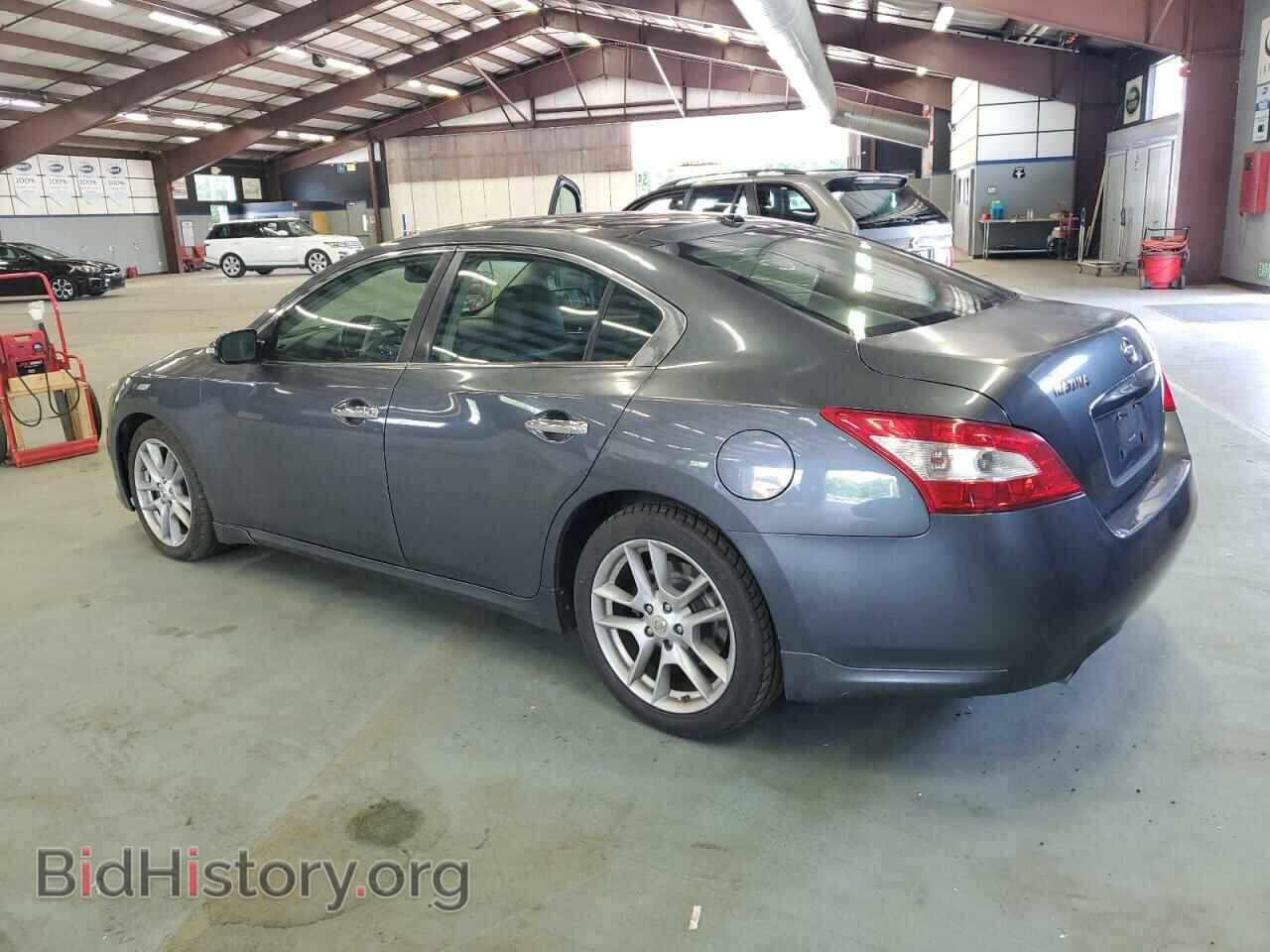 2009 NISSAN MAXIMA - VIN: 1N4AA51E69C809545 - Фото 2