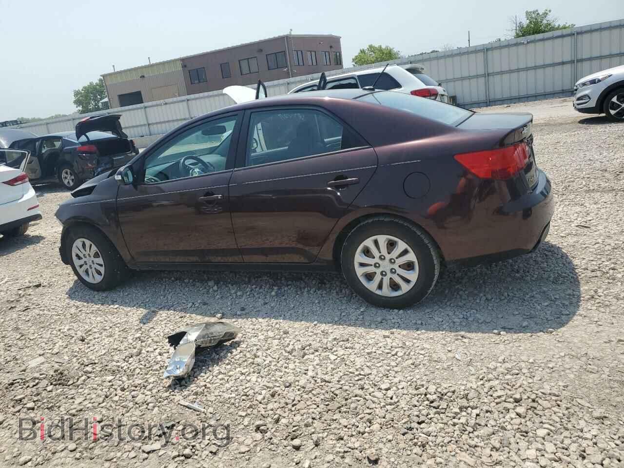 2010 KIA FORTE - VIN: KNAFU4A23A5871546 - Фото 2