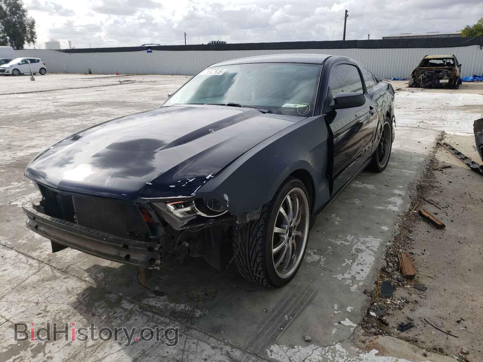 2011 FORD MUSTANG - VIN: 1ZVBP8AM7B5105447 - Фото 2