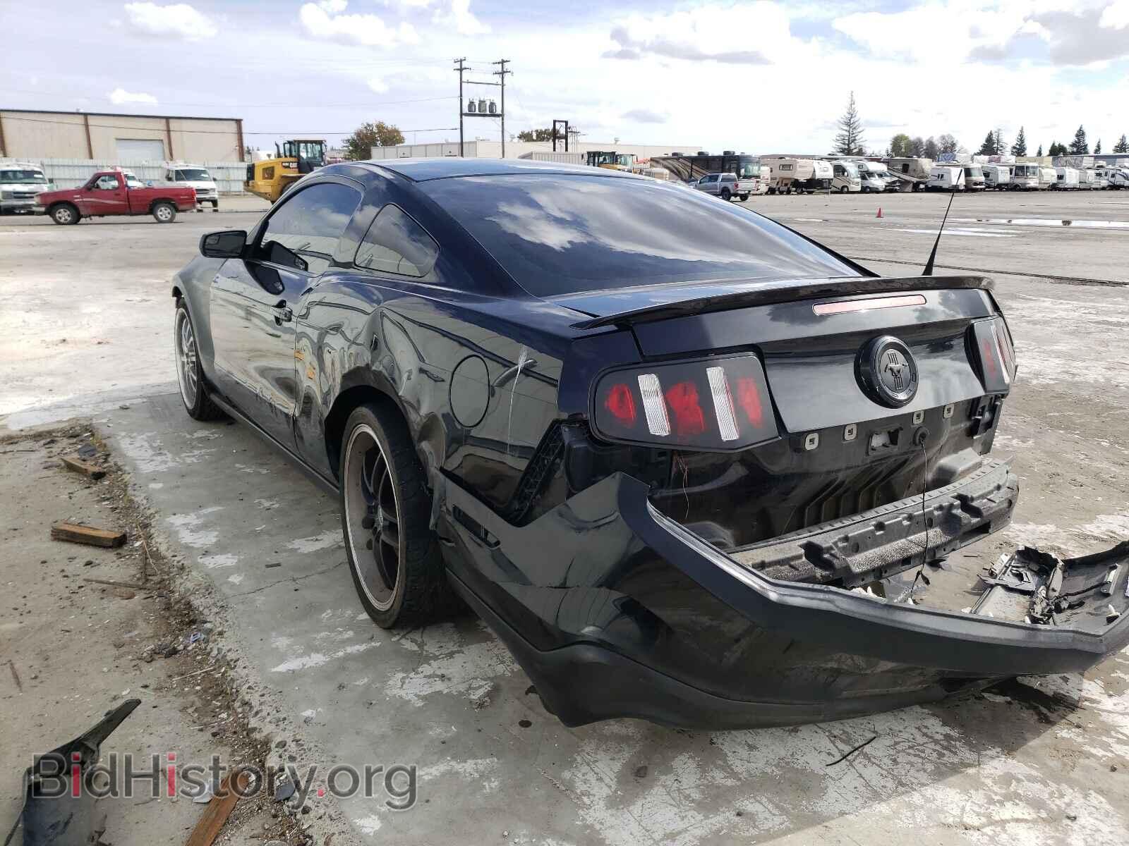 2011 FORD MUSTANG - VIN: 1ZVBP8AM7B5105447 - Фото 3