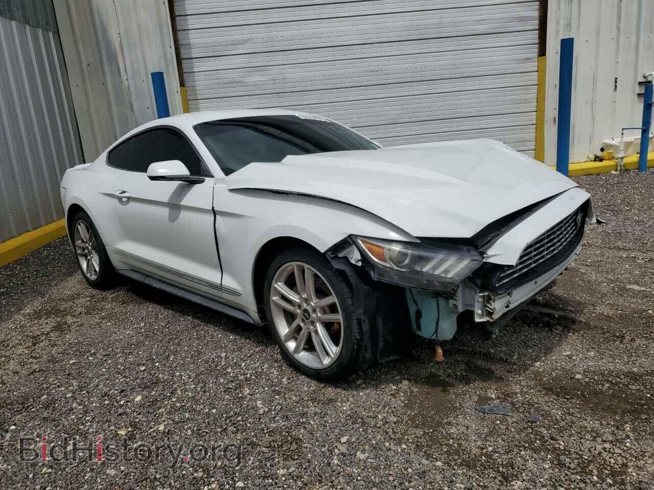 2016 FORD ALL Models - VIN: 1FA6P8TH1G5267446 - Фото 4