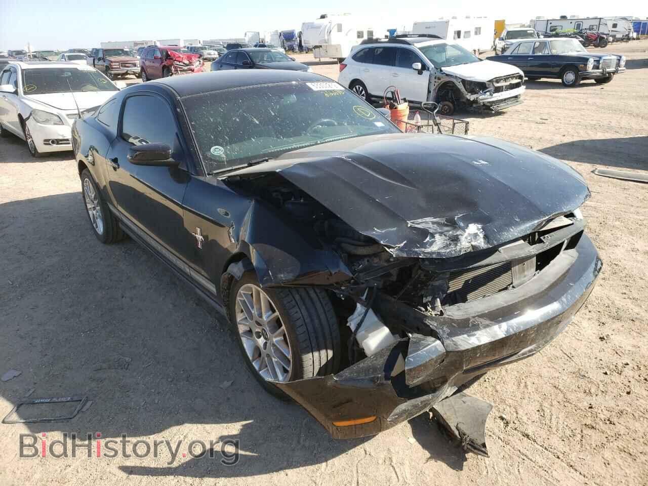 Фотография 1ZVBP8AM2C5266676 - FORD MUSTANG 2012