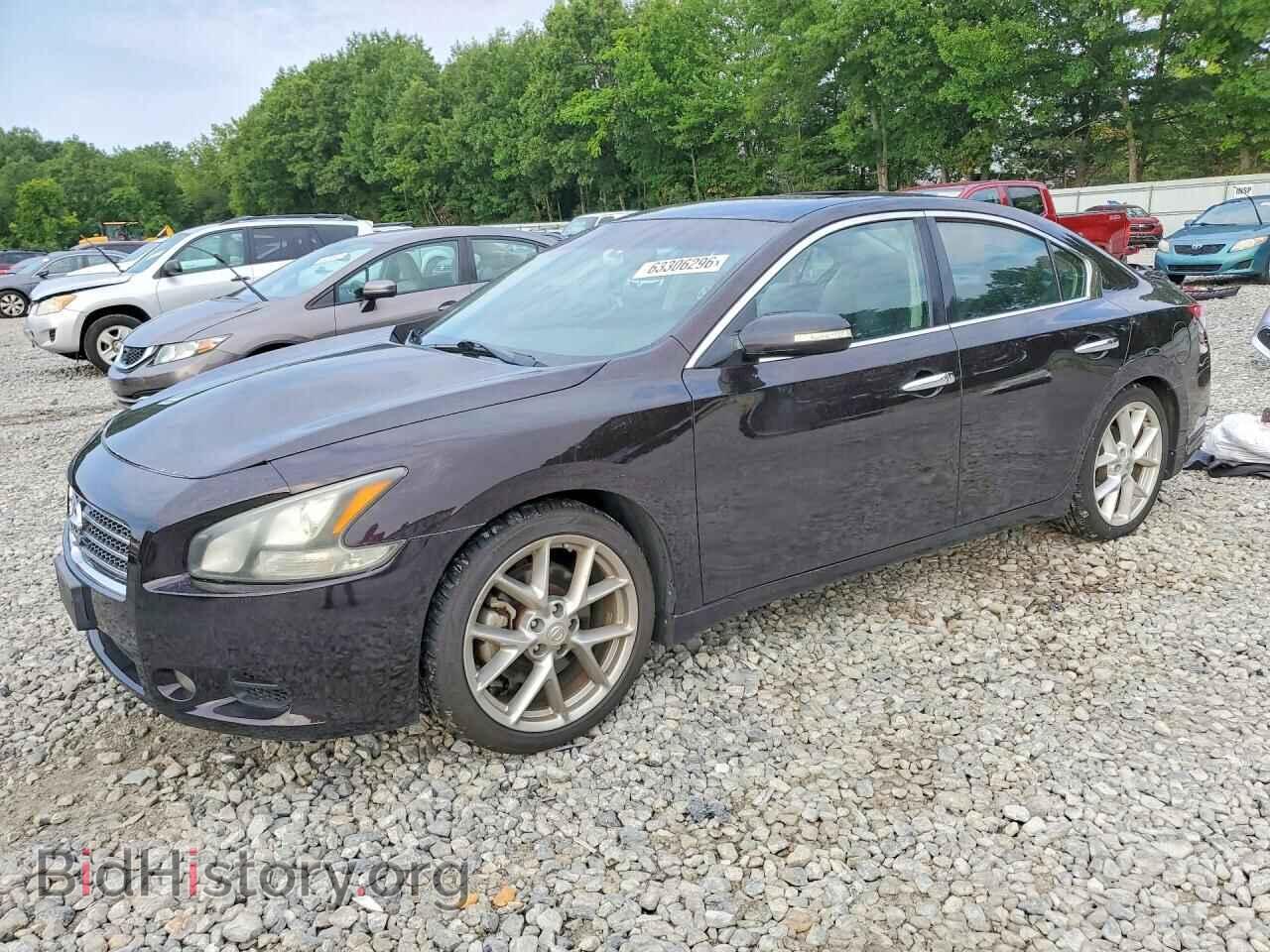 Фотография 1N4AA5AP9BC852770 - NISSAN MAXIMA 2011