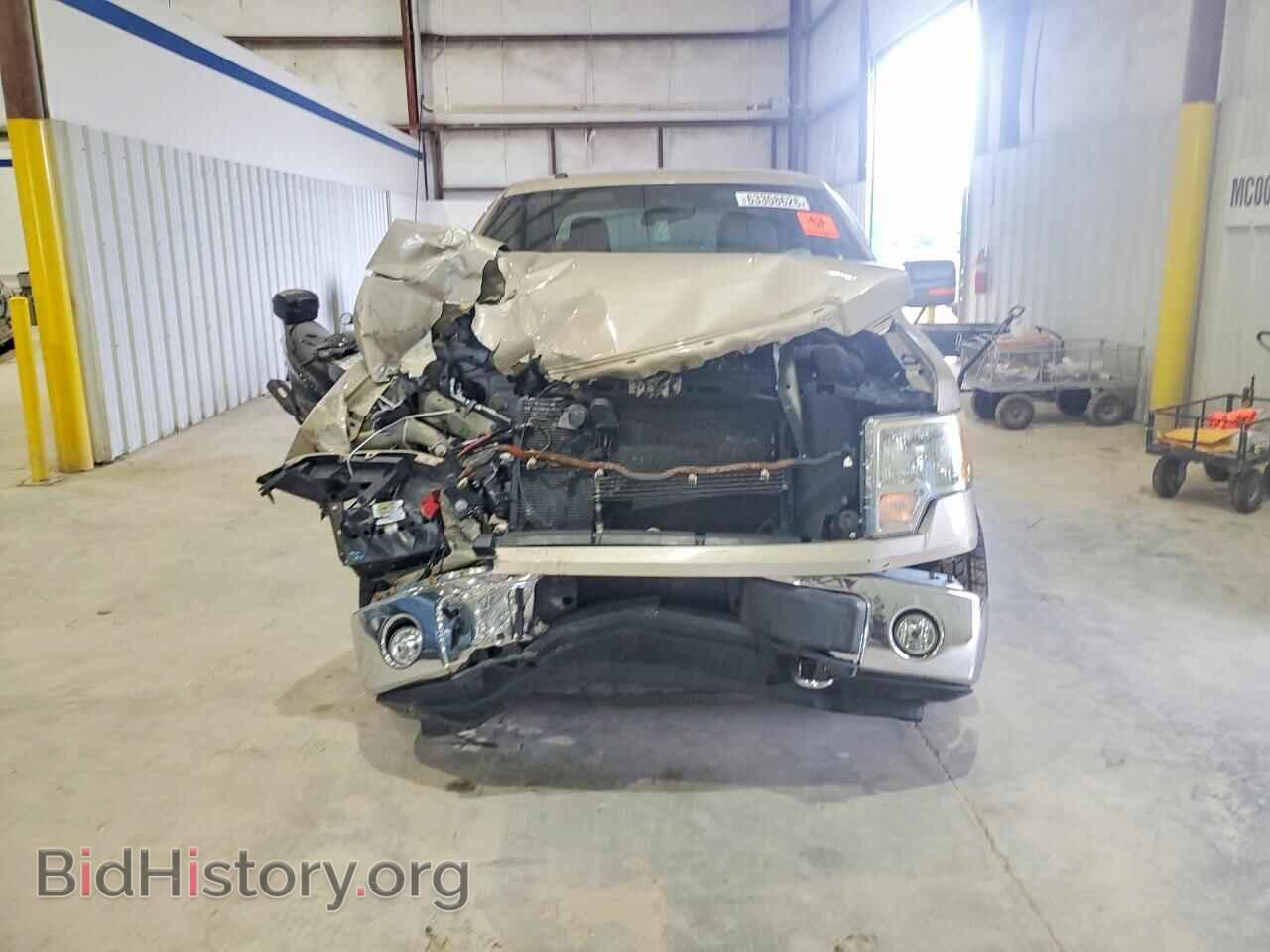 2010 FORD F150 - VIN: 1FTFW1EV8AFD64961 - Фото 5