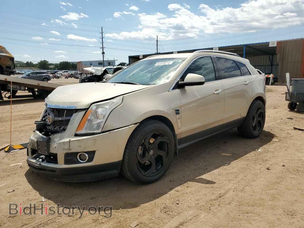 Фотография 3GYFNFEY5BS642894 - CADILLAC SRX 2011