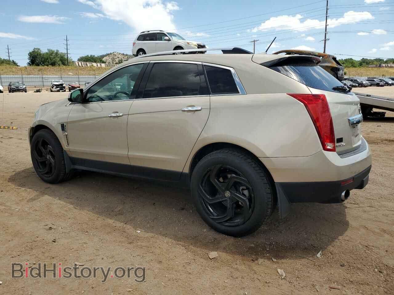 2011 CADILLAC SRX - VIN: 3GYFNFEY5BS642894 - Фото 2