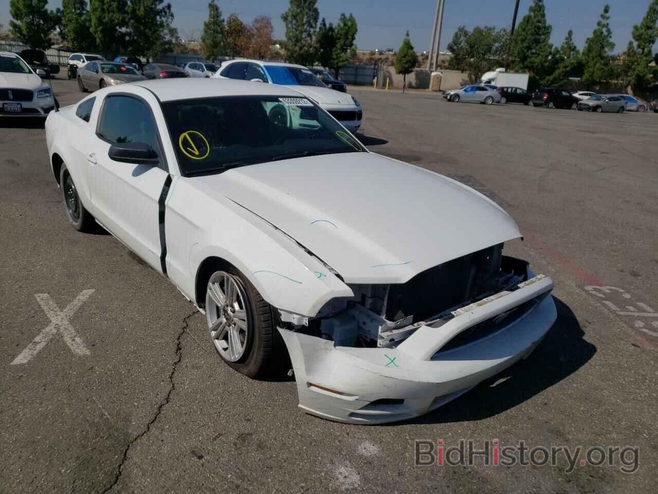 Photo 1ZVBP8AM7E5252601 - FORD MUSTANG 2014