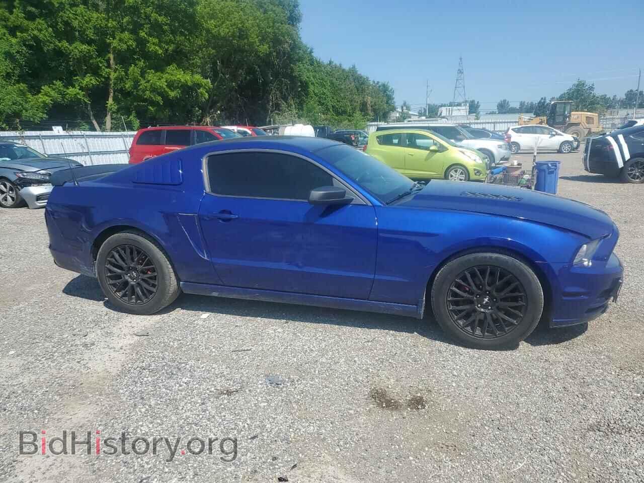2013 FORD ALL Models - VIN: 1ZVBP8AM2D5217740 - Photo 4