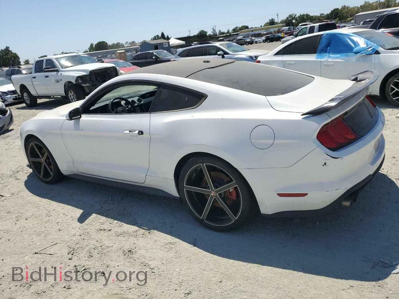 2019 FORD ALL Models - VIN: 1FA6P8TH5K5197796 - Photo 2