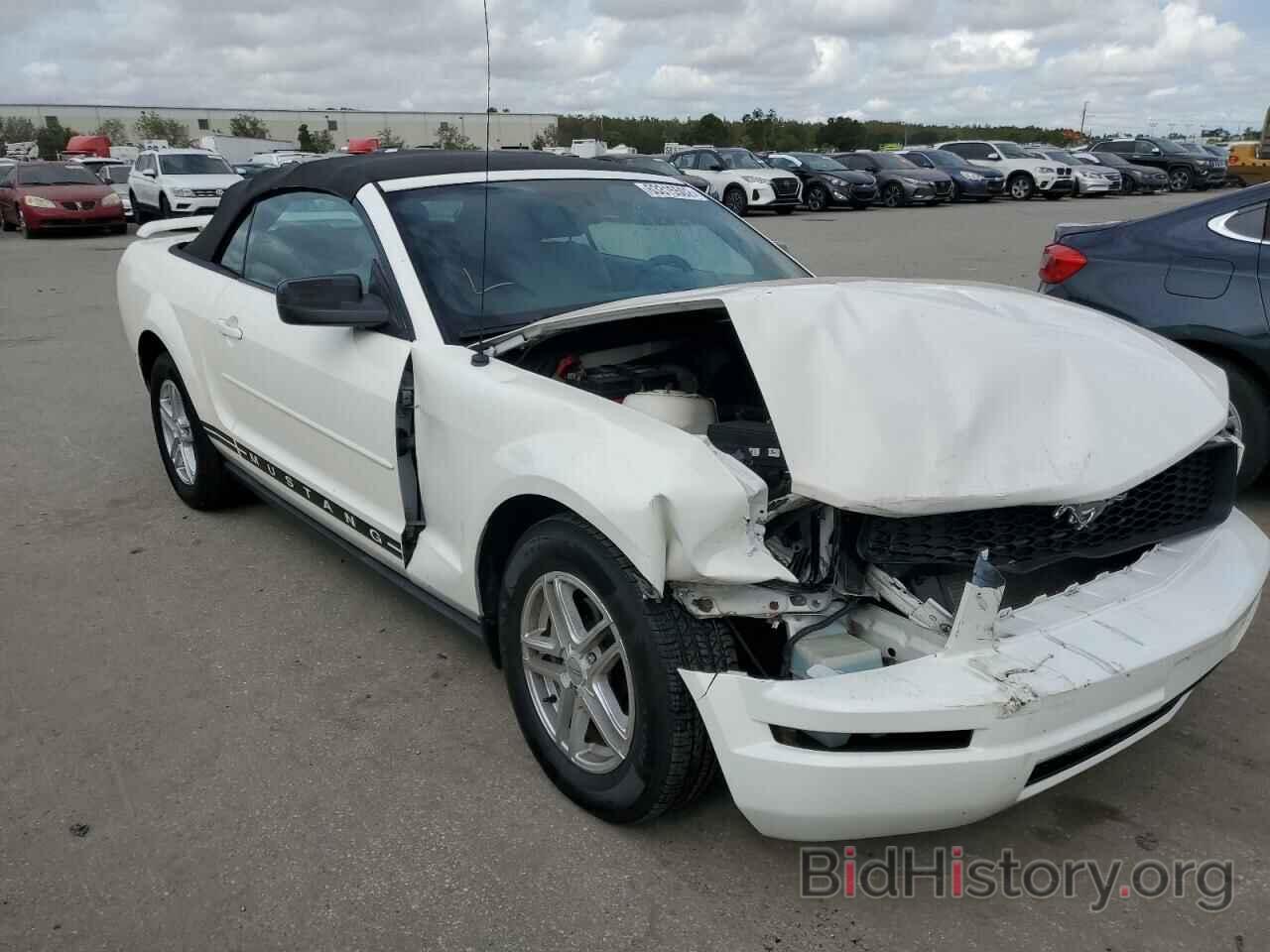 Photo 1ZVFT84N375354790 - FORD MUSTANG 2007