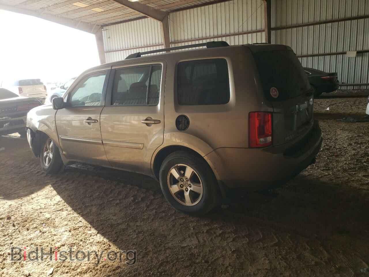 2009 HONDA PILOT - VIN: 5FNYF38549B012489 - Фото 2