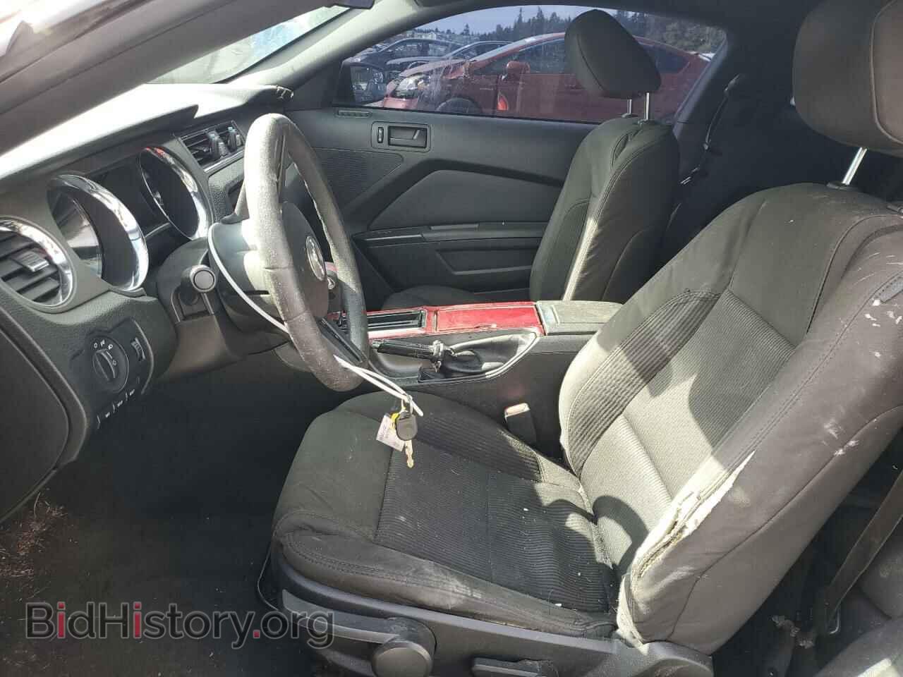 2011 FORD ALL Models - VIN: 1ZVBP8AM6B5165784 - Фото 7
