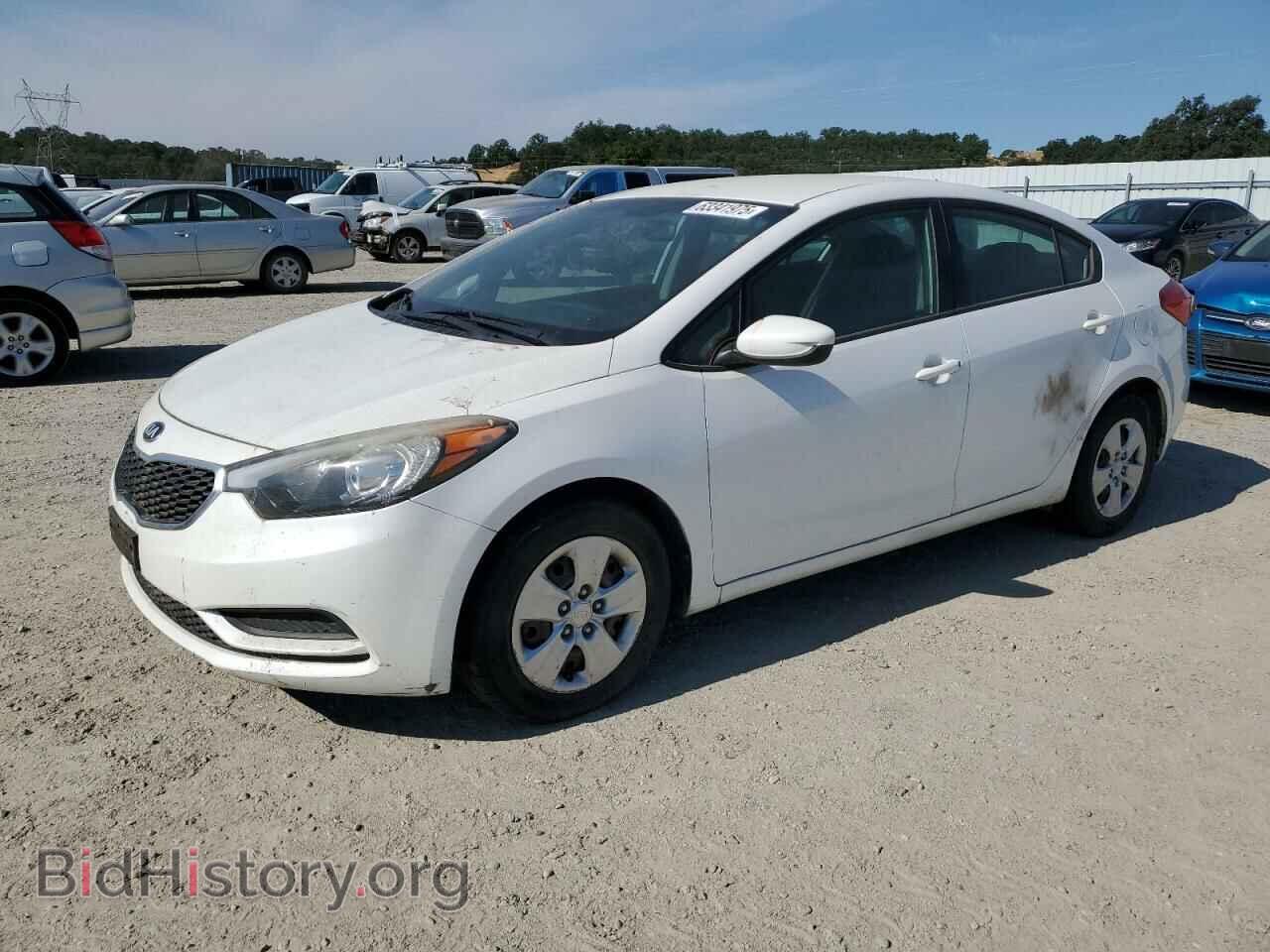 Фотография KNAFK4A65E5073791 - KIA FORTE 2014