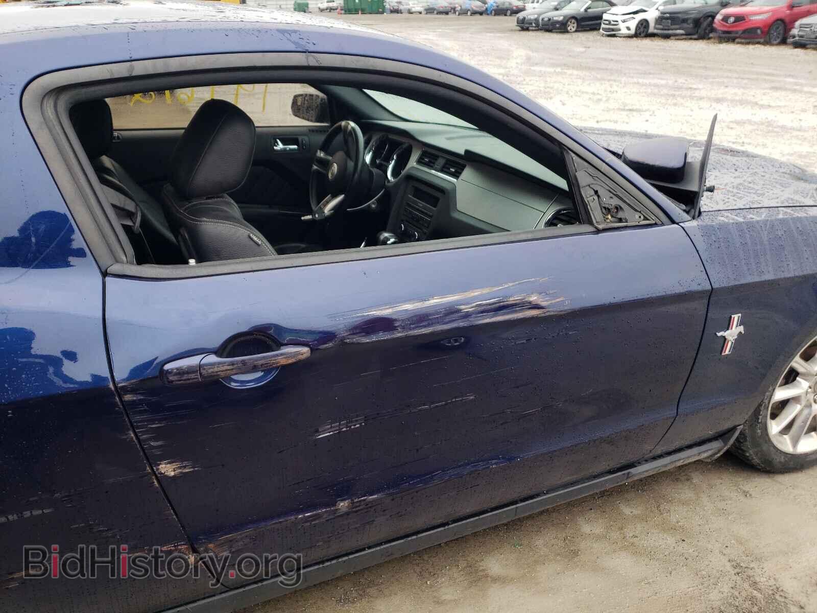2011 FORD MUSTANG - VIN: 1ZVBP8AM9B5141107 - Фото 9