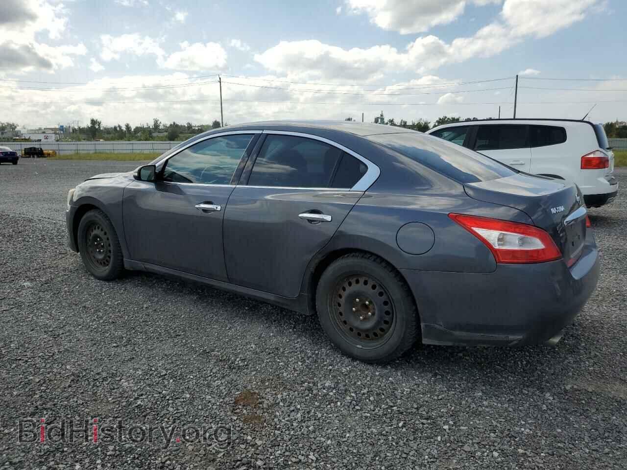 2010 NISSAN MAXIMA - VIN: 1N4AA5AP2AC834450 - Фото 2