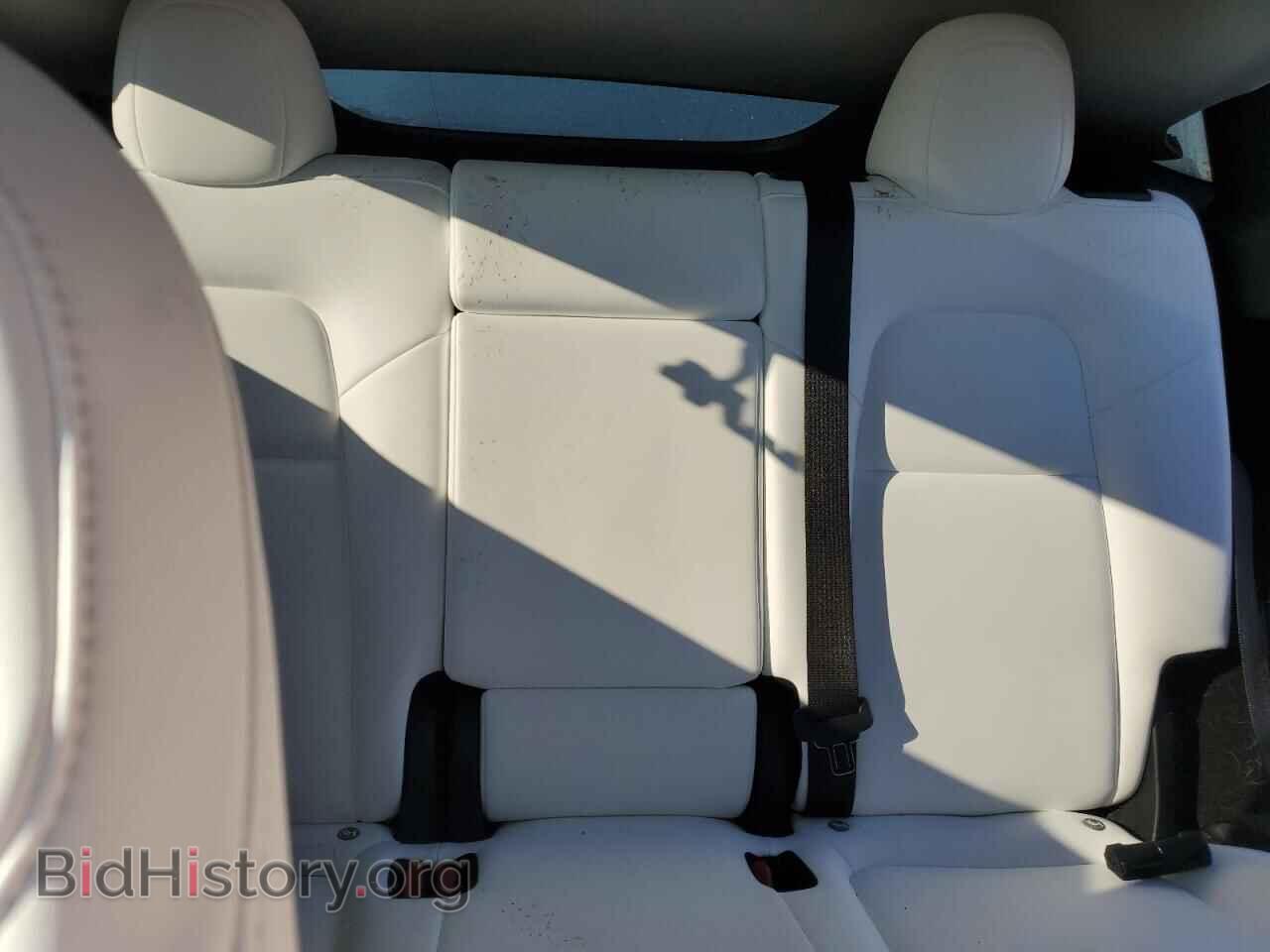 2024 TESLA MODEL Y - VIN: 7SAYGDEE6RF201154 - Фото 10