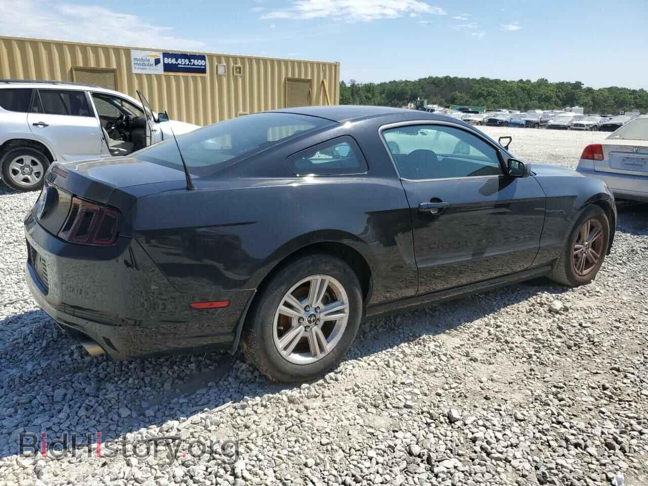 2014 FORD ALL Models - VIN: 1ZVBP8AMXE5267500 - Фото 3