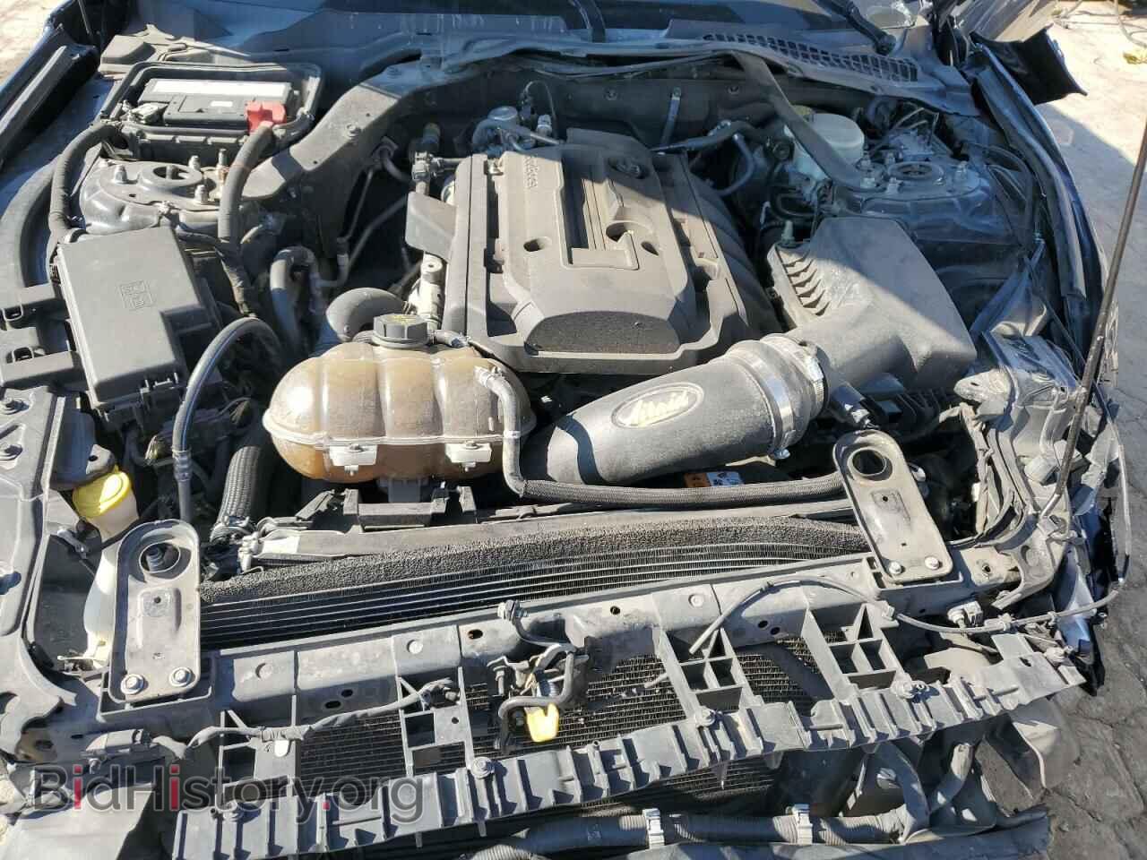 2016 FORD ALL Models - VIN: 1FATP8UH6G5292232 - Фото 11