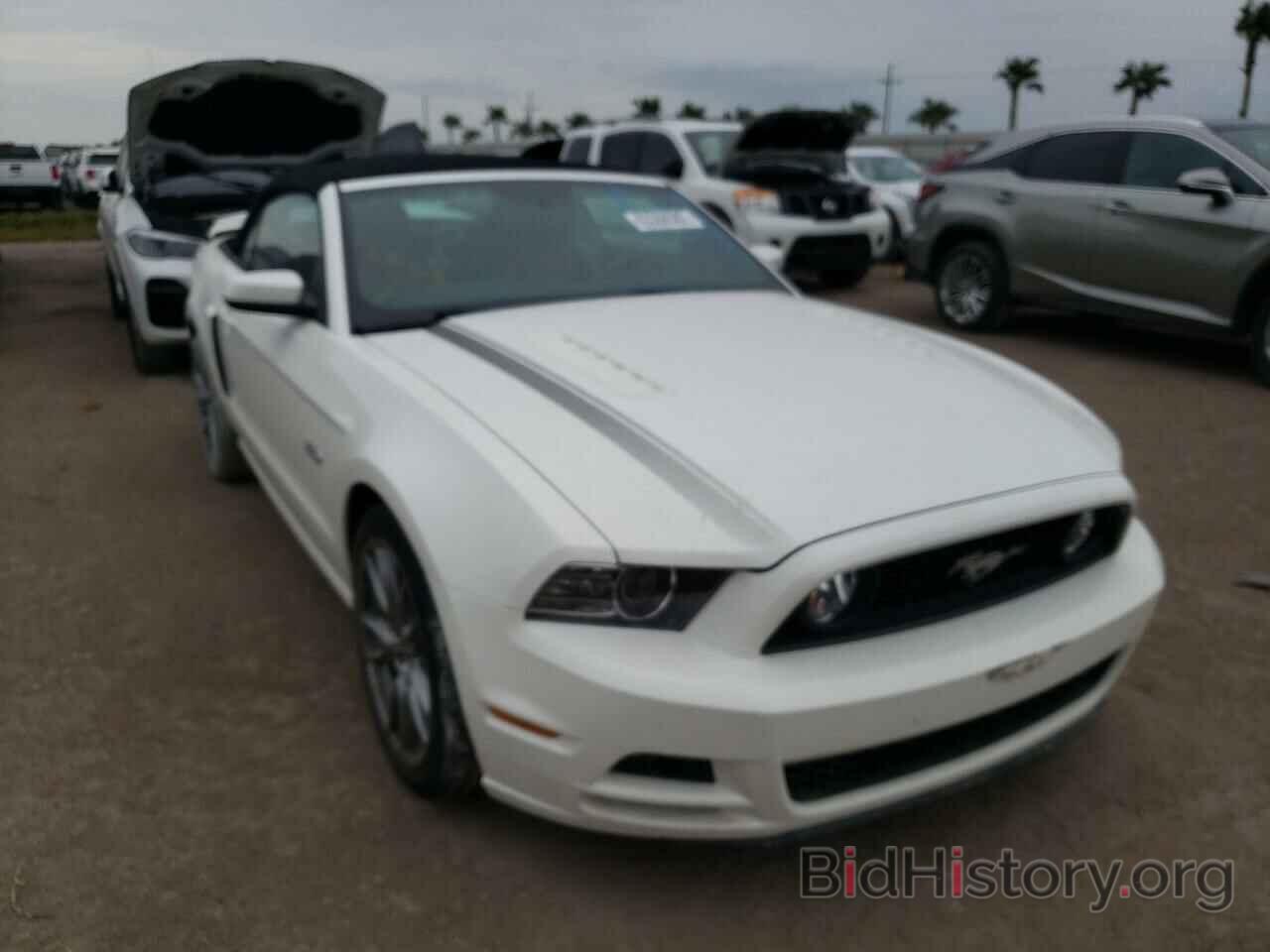 Photo 1ZVBP8FF5D5231335 - FORD MUSTANG 2013