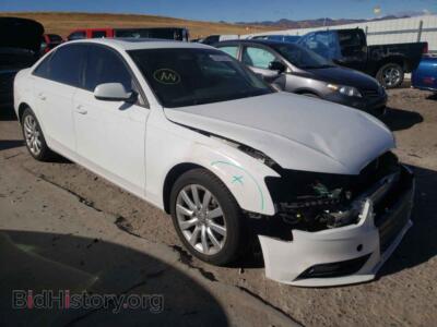 2013 Audi A4 A4 Premium, white — VIN WAUBFAFL2DA184448, Copart