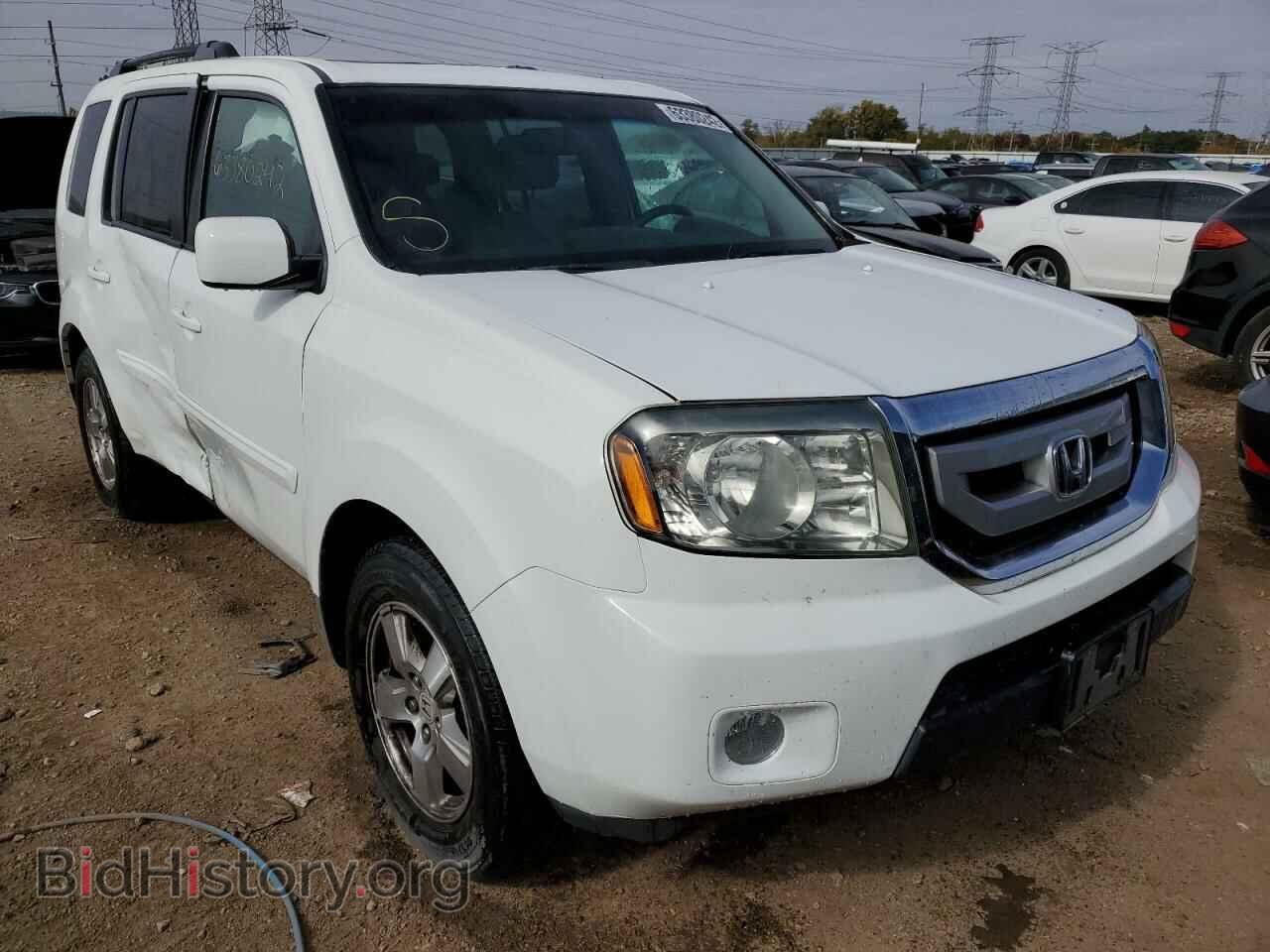 Фотография 5FNYF48669B011052 - HONDA PILOT 2009