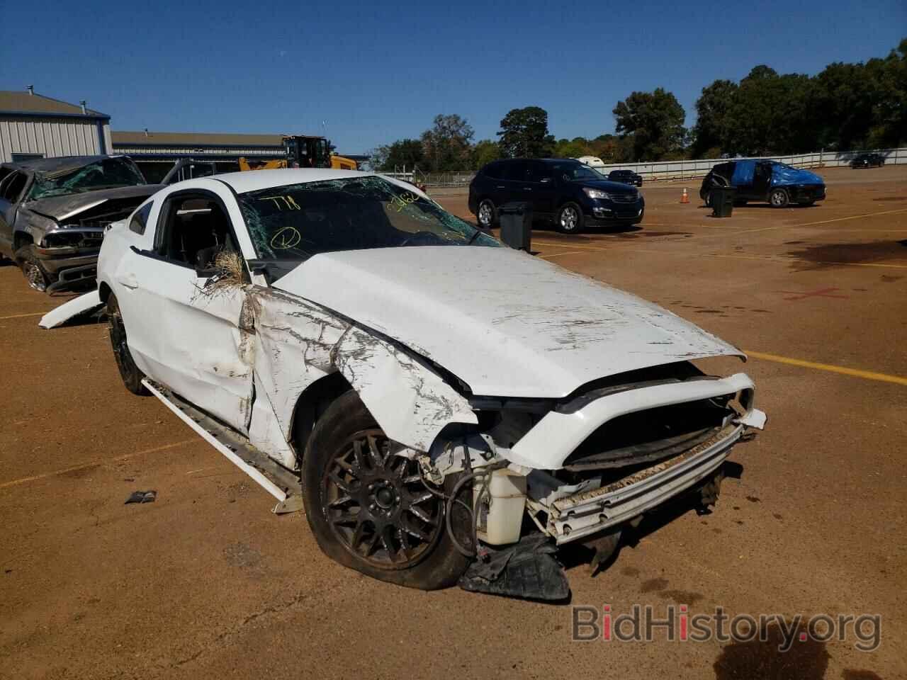 Photo 1ZVBP8AM5E5221623 - FORD MUSTANG 2014