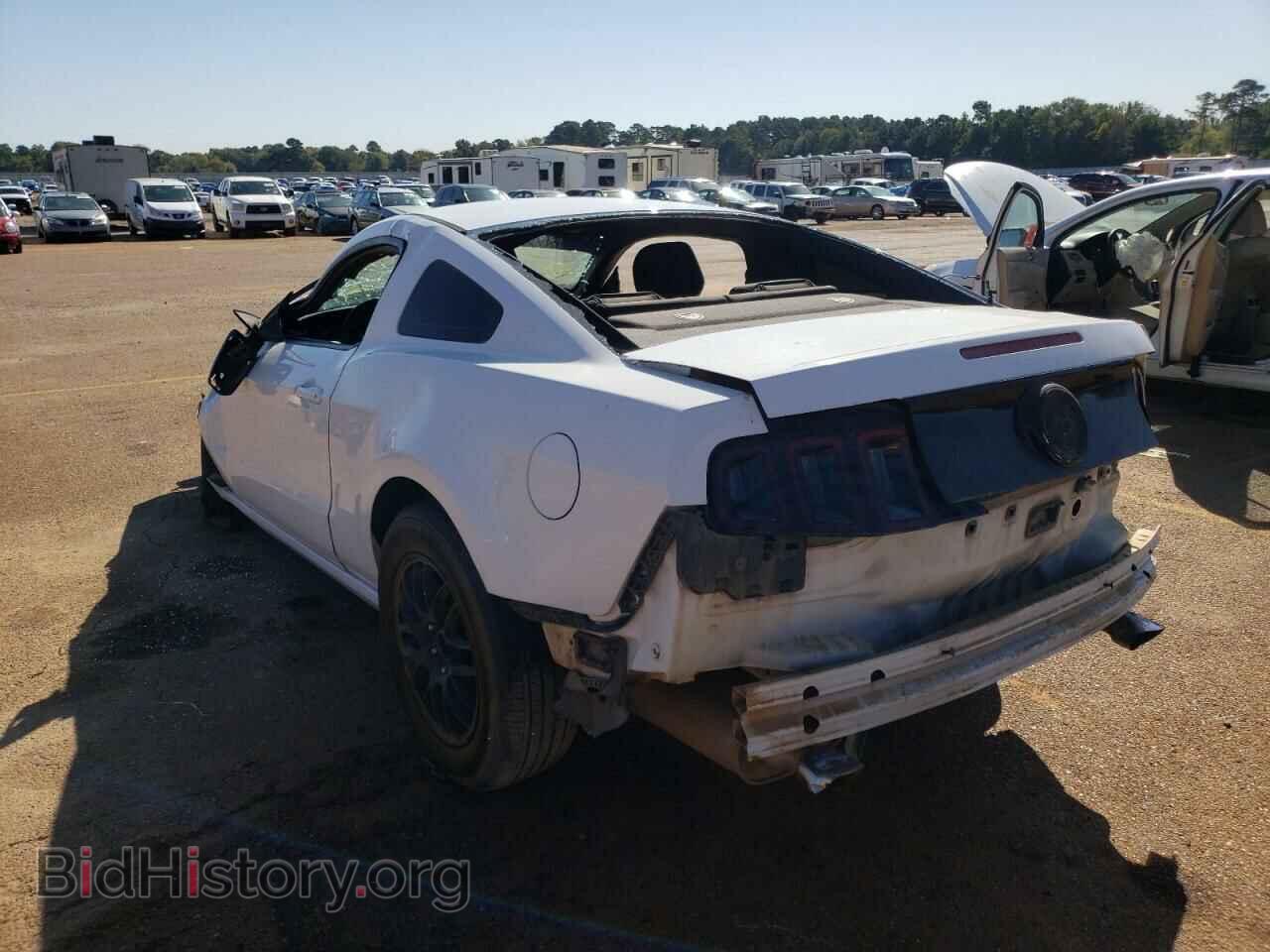 2014 FORD MUSTANG - VIN: 1ZVBP8AM5E5221623 - Фото 3
