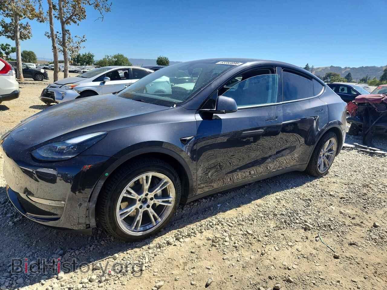 Фотография 7SAYGDEE4RF013782 - TESLA MODEL Y 2024