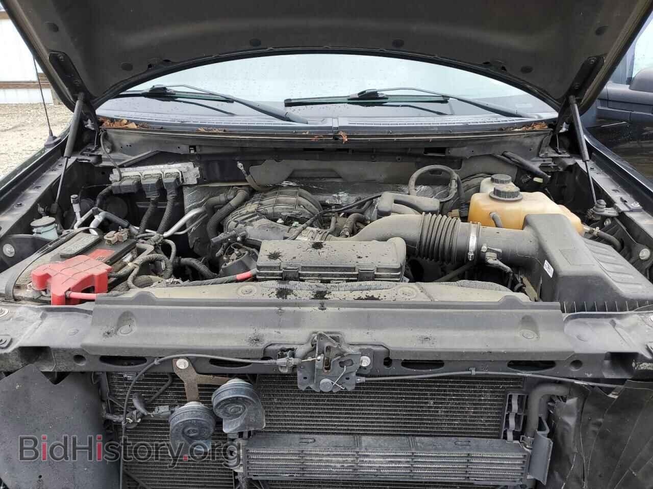 2013 FORD All Models - VIN: 1FTMF1CM9DFE09167 - Photo 11