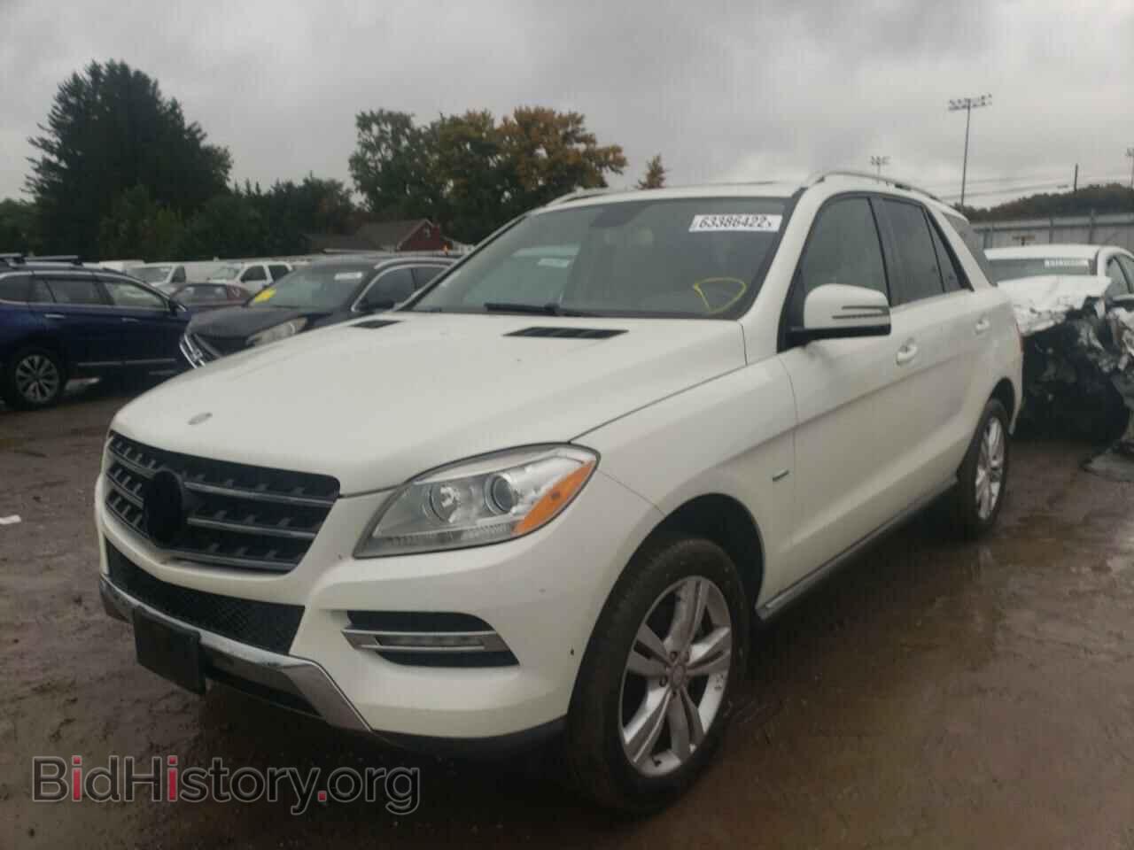 2012 MERCEDES-BENZ M-CLASS - VIN: 4JGDA5HB4CA025754 - Фото 2