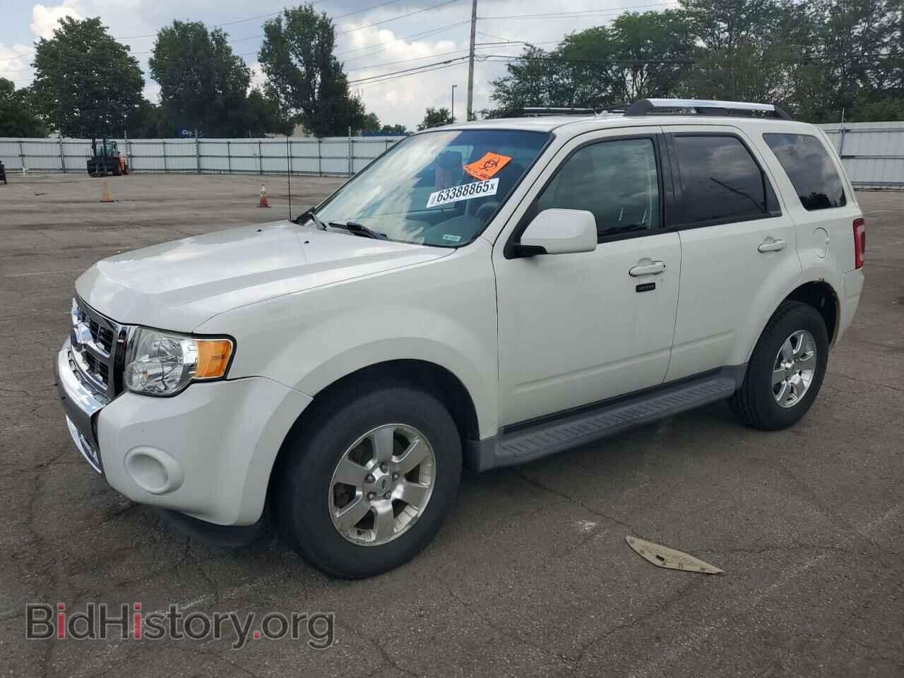 Photo 1FMCU0E77BKC31469 - FORD ESCAPE 2011