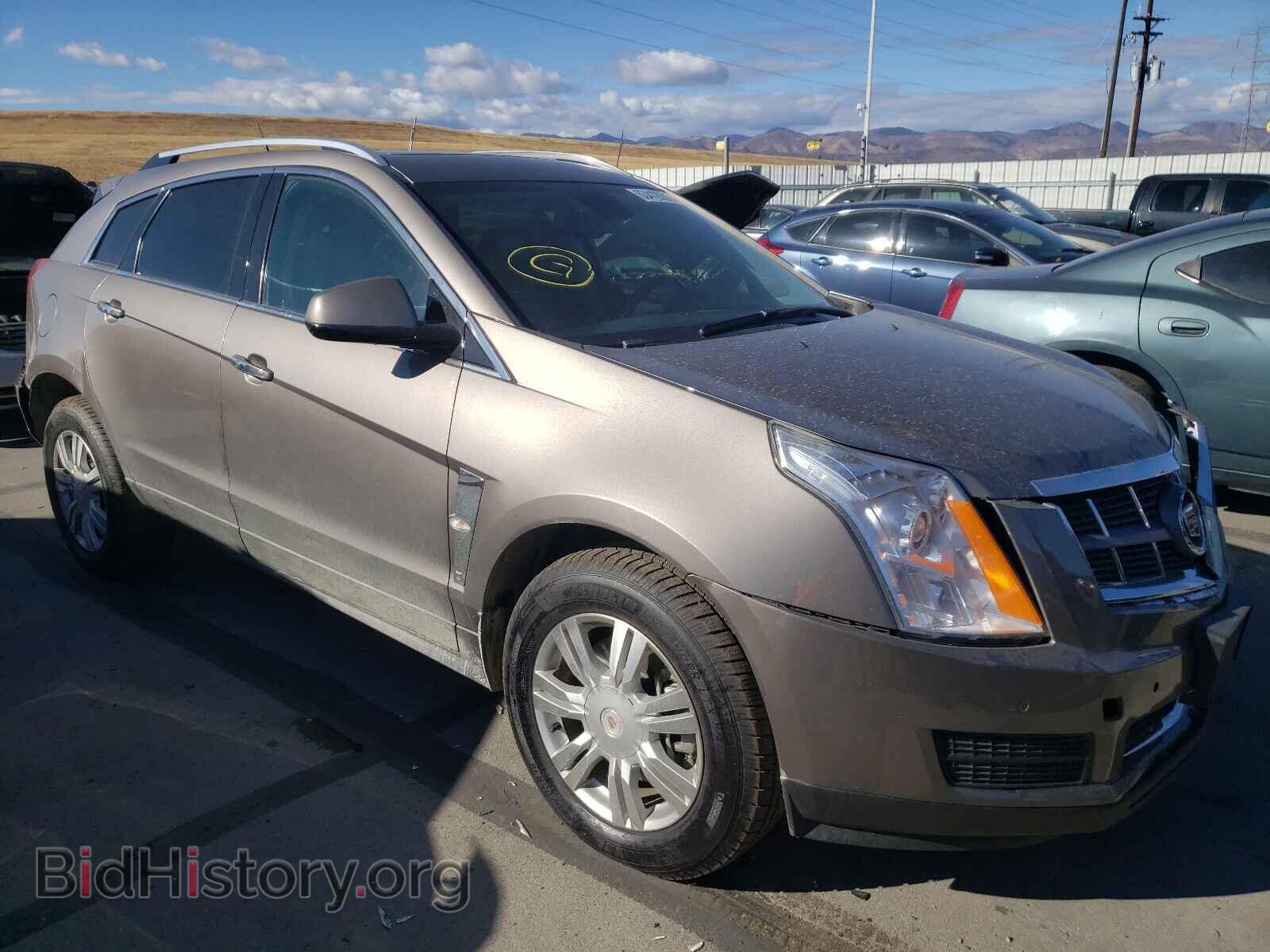 Фотография 3GYFNDE39CS502907 - CADILLAC SRX 2012