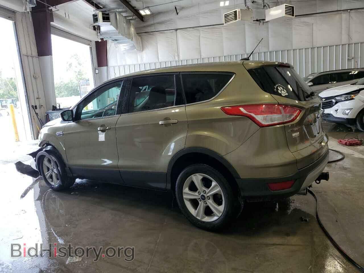 2013 FORD ESCAPE - VIN: 1FMCU0GX6DUB37295 - Фото 2